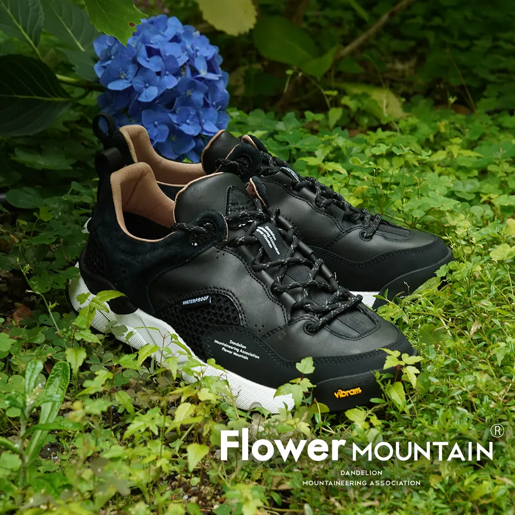 Flower Mountain