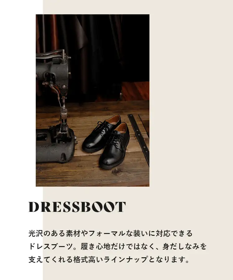 DRESSモデル紹介SP